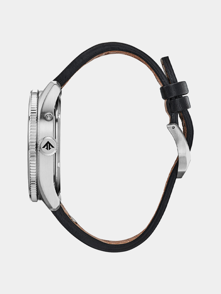 citizen promaster avion